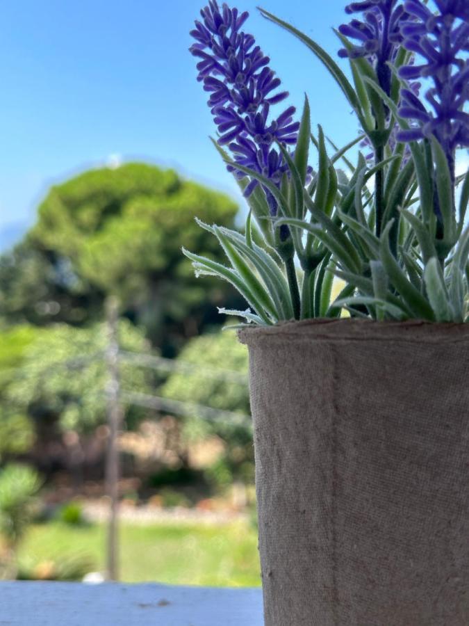 Olia Apartment Corfu  Esterno foto
