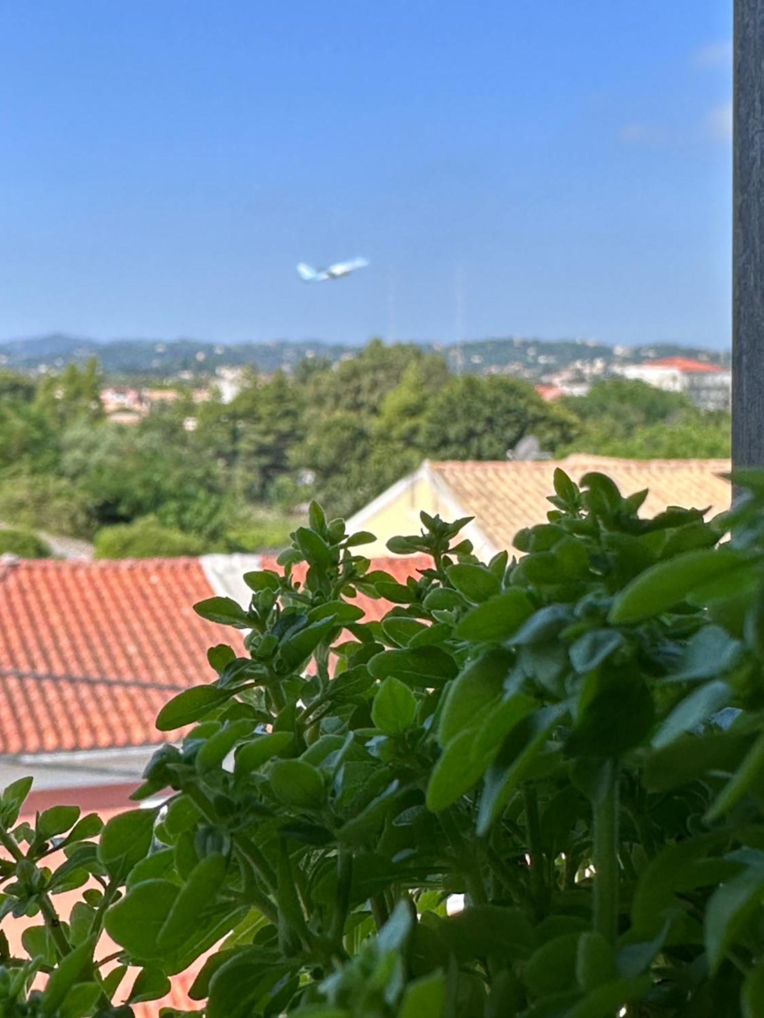 Olia Apartment Corfu  Esterno foto
